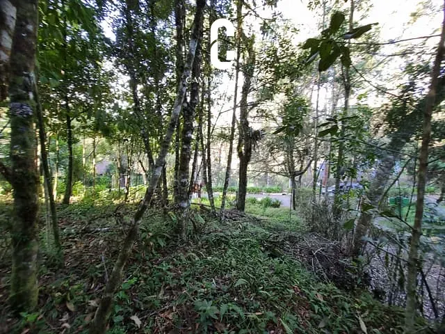 Terreno com 1100m², à venda, no bairro Alto do Capivari em Campos do Jordão