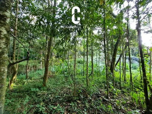 Terreno com 1100m², à venda, no bairro Alto do Capivari em Campos do Jordão