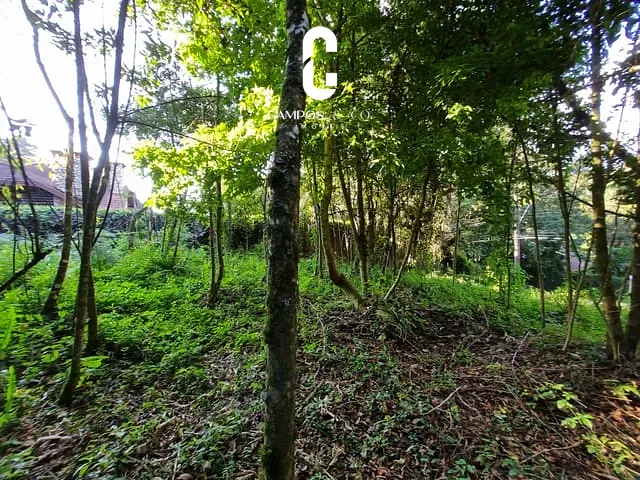 Terreno com 1100m², à venda, no bairro Alto do Capivari em Campos do Jordão