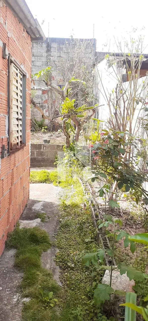 Foto 7