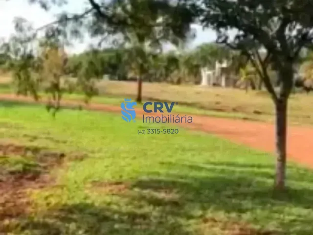 Terreno com 1300m², à venda, no bairro Centro em Primeiro de Maio