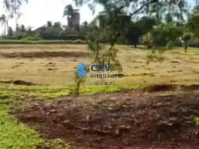 Terreno com 1300m², à venda, no bairro Centro em Primeiro de Maio