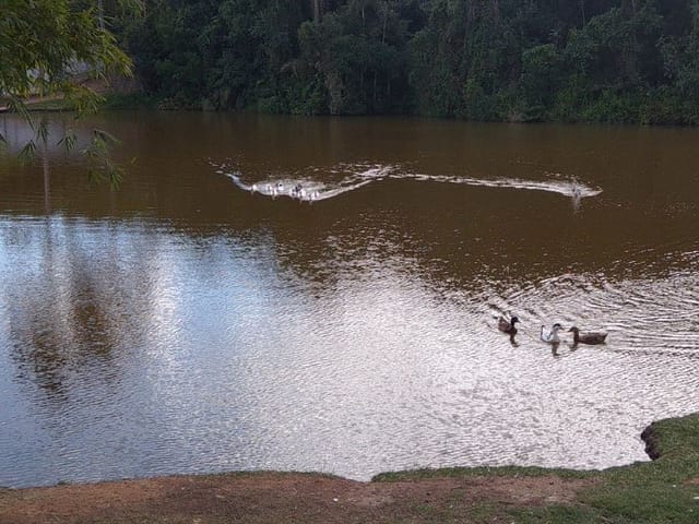 Foto do Terreno - Terreno à venda, 1000 m² por R$ 400.000,00 - Parque Mirante Do Vale - Jacareí/SP | INDEPENDENCE NEGOCIOS IMOBILIARIOS LTDA