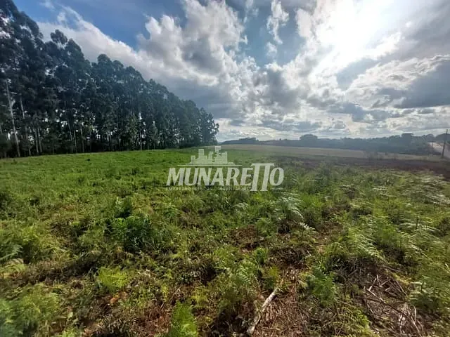 Terreno com 8602m², à venda, no bairro Santo Antônio em Concórdia
