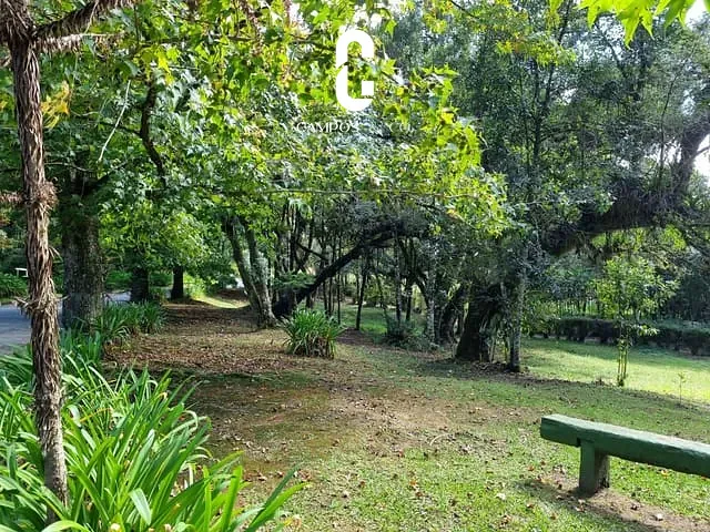 Terreno com 1230m², à venda, no bairro Alto do Capivari em Campos do Jordão