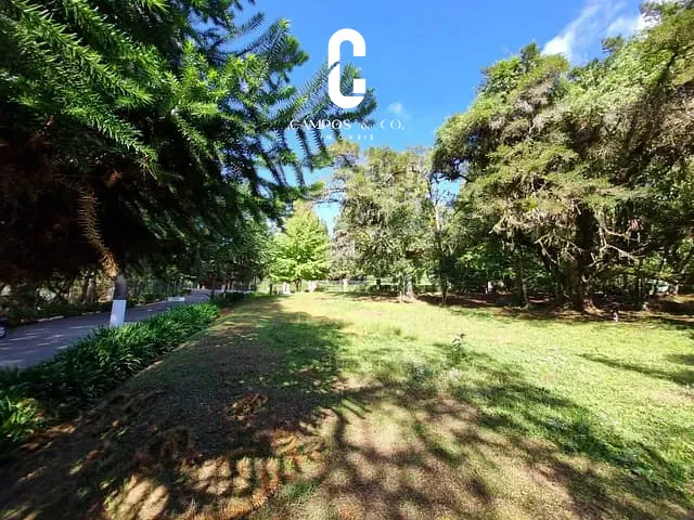Terreno com 1230m², à venda, no bairro Alto do Capivari em Campos do Jordão