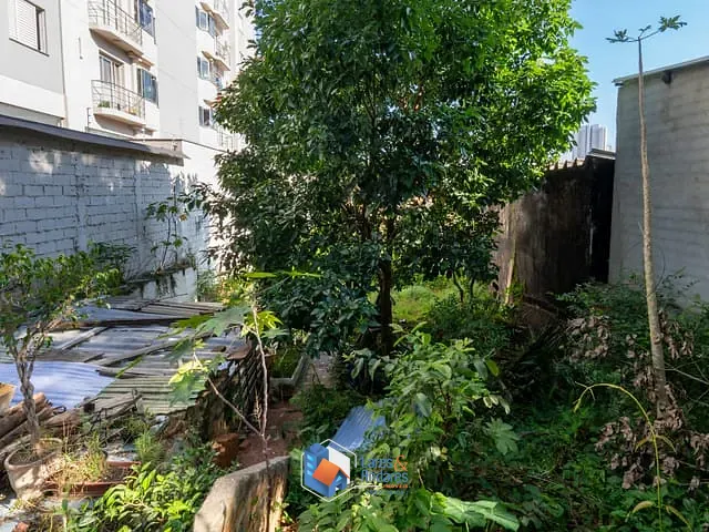 Terreno com 700m² 1 quarto e 1 banheiro, à venda, no bairro Vila Anglo Brasileira em São Paulo