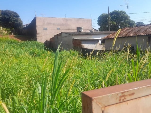 Foto do Terreno - Terreno à venda, 300 m² por R$ 75.000,00 - Vila Esperança - Uberaba/MG | ZUCATO IMOBILIARIA LTDA