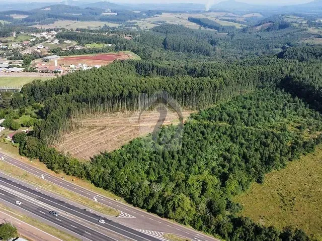 Terreno com 30000m², à venda, no bairro Zona Rural em Fazenda Vilanova