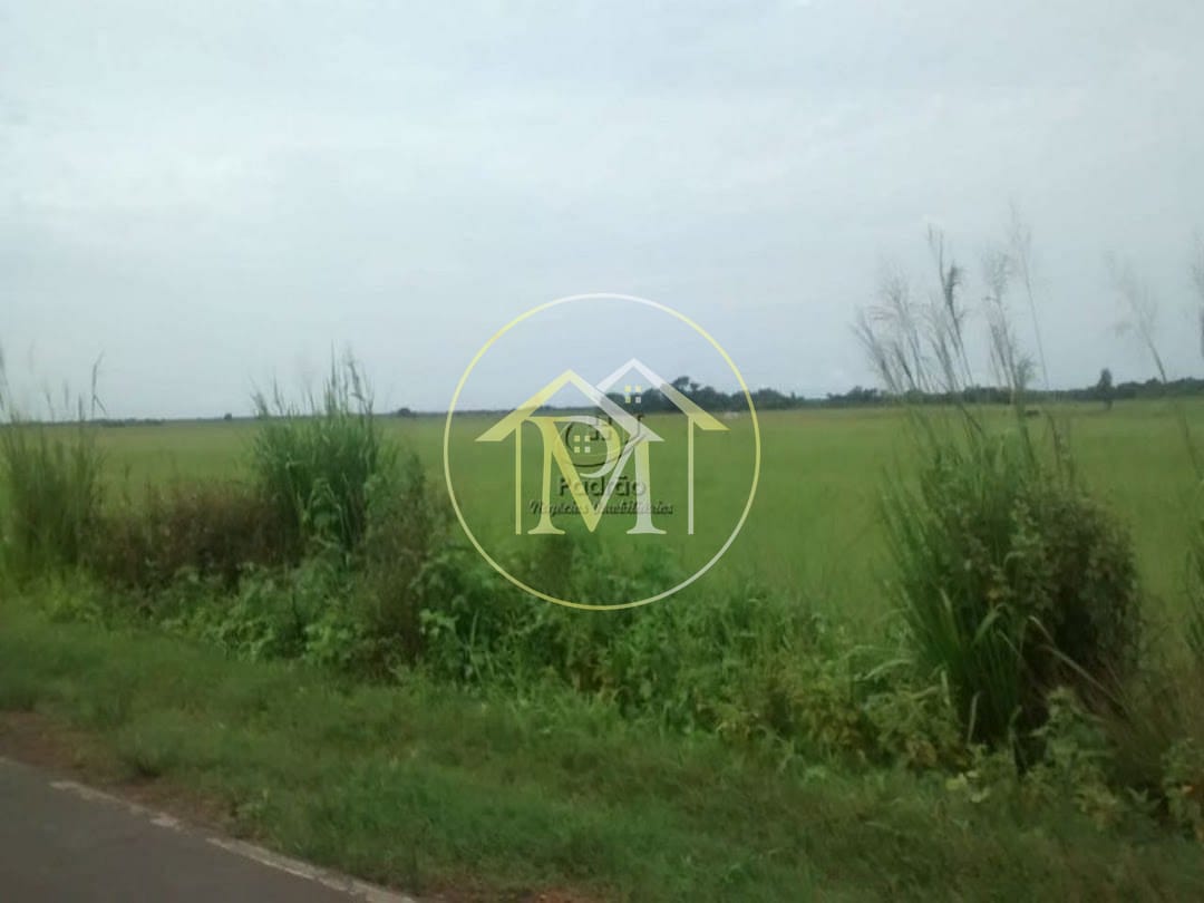 Terreno, 49961 hectares - Foto 5