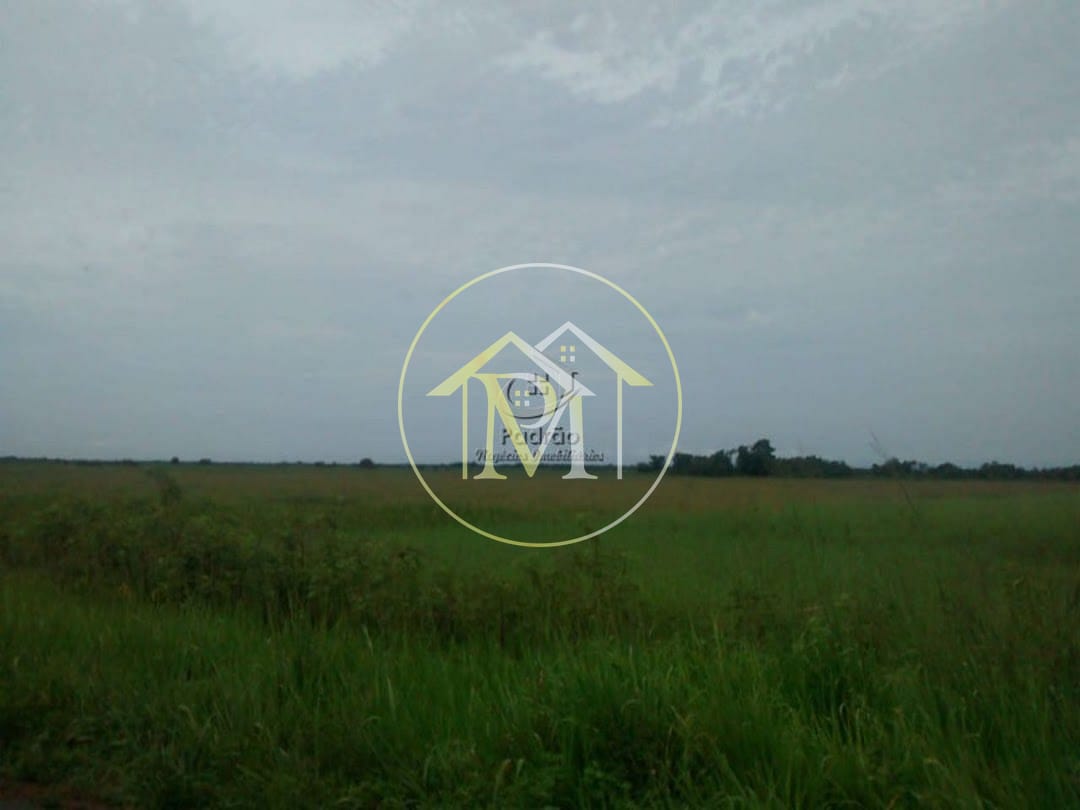 Terreno, 49961 hectares - Foto 6