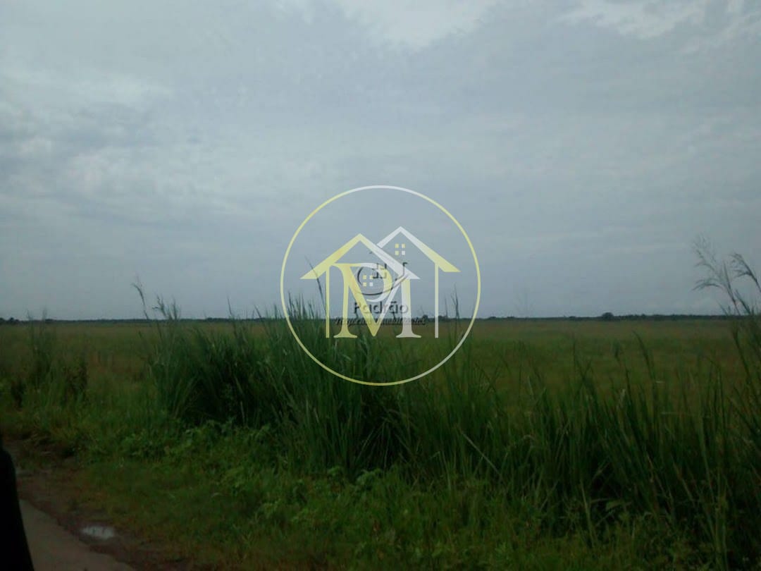 Terreno, 49961 hectares - Foto 2