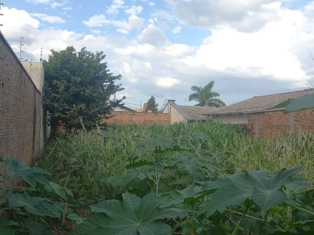 Foto do Terreno - Terreno à venda 250M², Residencial Estados Unidos, Uberaba - MG | ZUCATO IMOBILIARIA LTDA