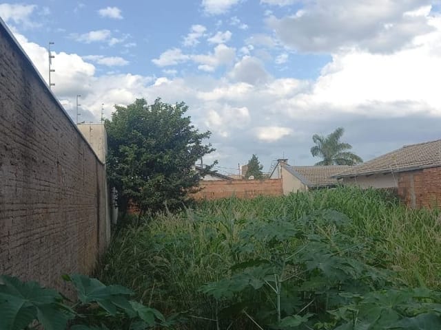 Foto do Terreno - Terreno à venda 250M², Residencial Estados Unidos, Uberaba - MG | ZUCATO IMOBILIARIA LTDA