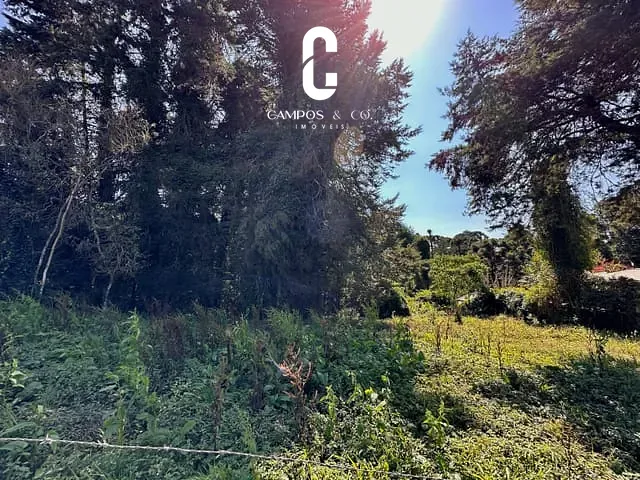 Terreno com 3900m², à venda, no bairro Jardim Belvedere em Campos do Jordão