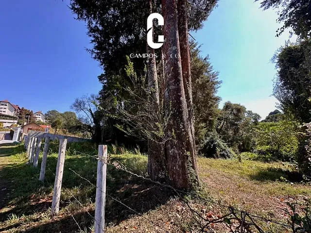 Terreno com 3900m², à venda, no bairro Jardim Belvedere em Campos do Jordão
