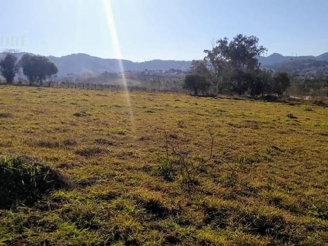 Terreno com 76000m², à venda, no bairro Estiva em Estiva