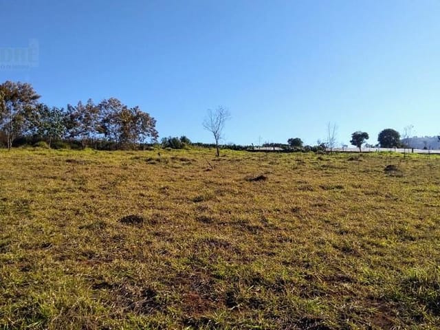 Terreno com 76000m², à venda, no bairro Estiva em Estiva