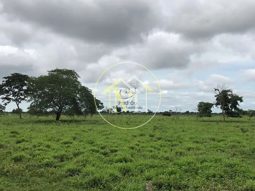 Terreno, 50000 hectares - Foto 4