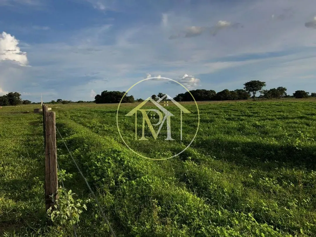 Terreno, 50000 hectares - Foto 23