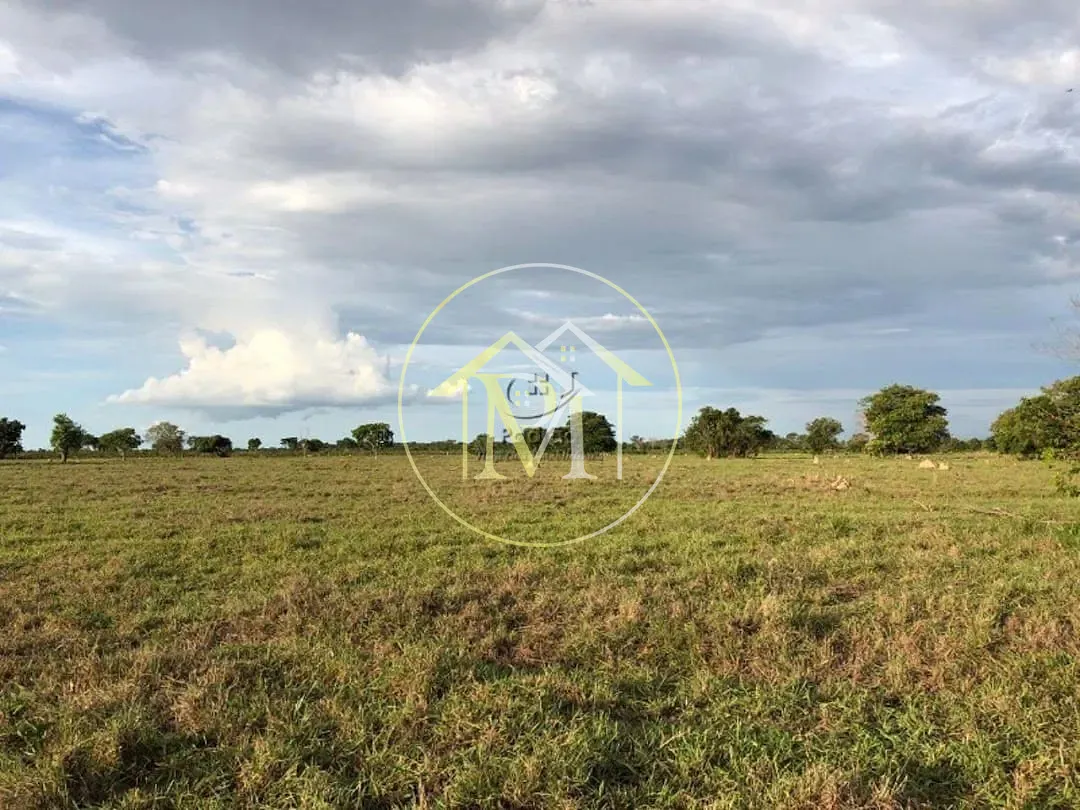 Terreno, 50000 hectares - Foto 30