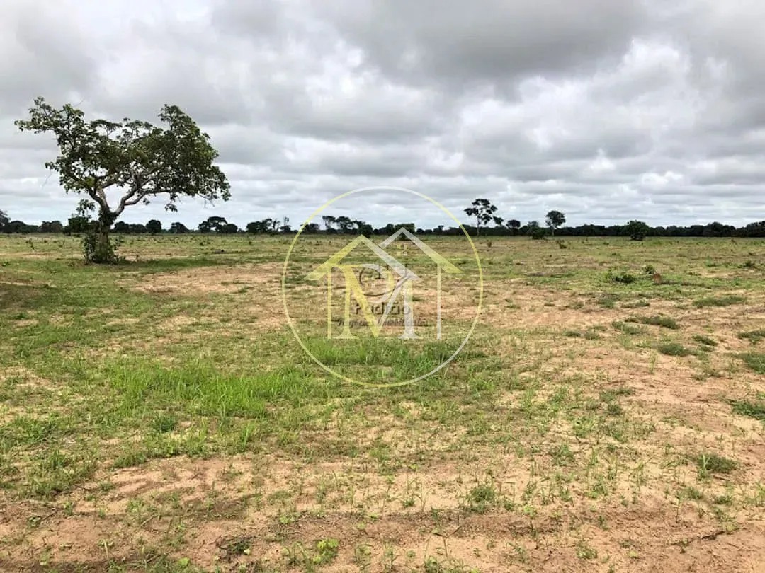 Terreno, 50000 hectares - Foto 19