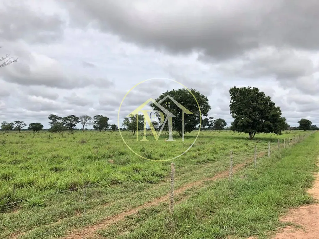 Terreno, 50000 hectares - Foto 7