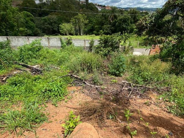 Terreno com 686m², à venda, no bairro Morbidelli em Extrema