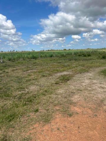 Terreno com 9000m², à venda, no bairro Goytacazes em Campos dos Goytacazes