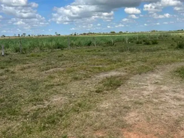 Terreno com 9000m², à venda, no bairro Goytacazes em Campos dos Goytacazes