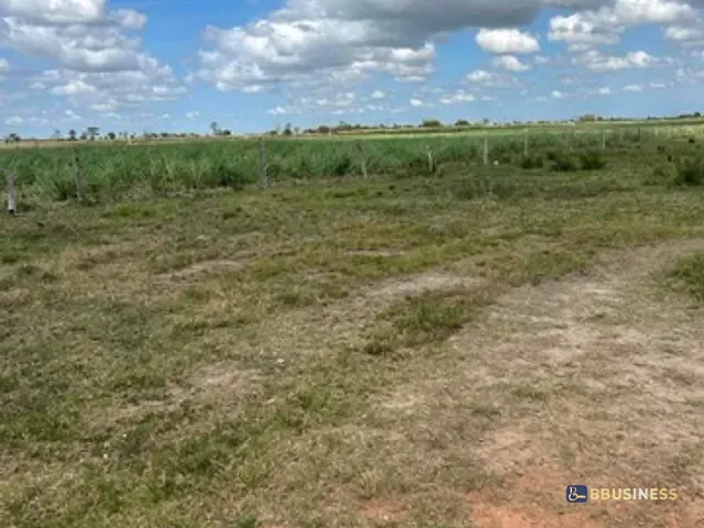 Terreno com 9000m², à venda, no bairro Goytacazes em Campos dos Goytacazes