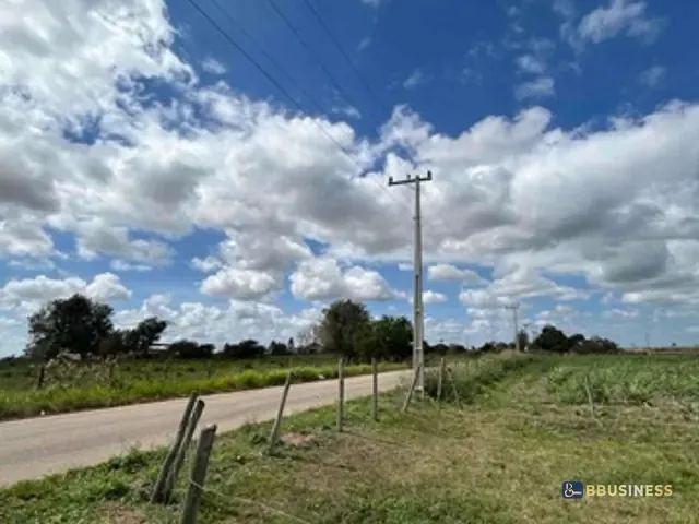 Terreno com 9000m², à venda, no bairro Goytacazes em Campos dos Goytacazes