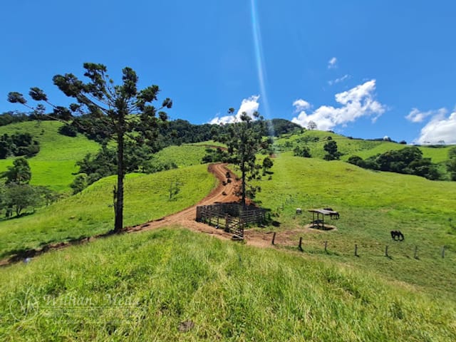 Foto do Terreno - Terreno à venda, Braço dass Antas, Cambuí, MG | Willians Meda Imobiliária