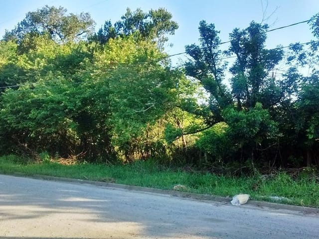 Foto do Terreno - Terreno residencial à venda, Agenor de Campos, Mongaguá. | ZONA LESTE IMÓVEIS