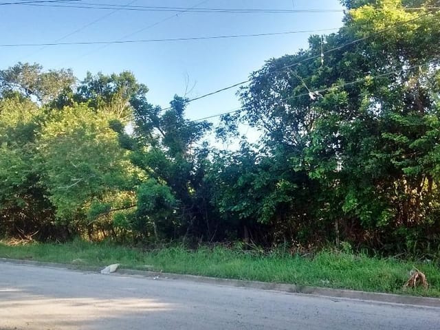 Foto do Terreno - Terreno residencial à venda, Agenor de Campos, Mongaguá. | ZONA LESTE IMÓVEIS