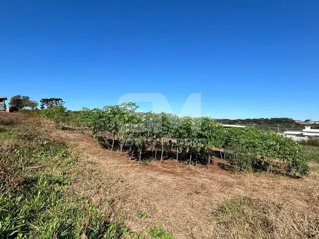 Terreno com 600m², à venda, no bairro Água Santa em Chapecó