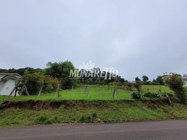 Terreno com 2500m², à venda, no bairro Arvoredo em Concórdia