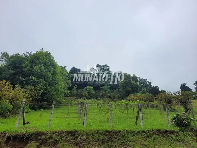 Terreno com 2500m², à venda, no bairro Arvoredo em Concórdia