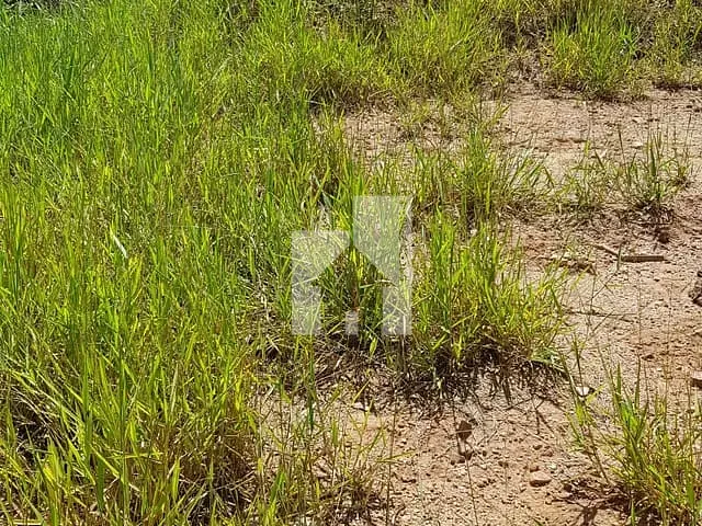 Terreno com 501m², à venda, no bairro Jardim Santa Branca em Campo Limpo Paulista