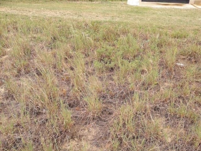 Terreno com 420m², à venda, no bairro CHAPEU DO SOL em São João da Barra
