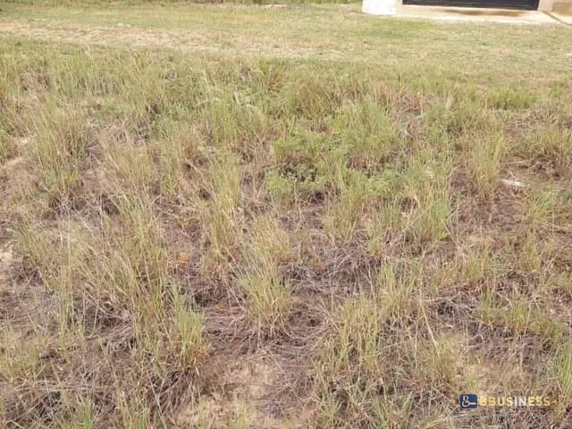 Terreno com 420m², à venda, no bairro CHAPEU DO SOL em São João da Barra