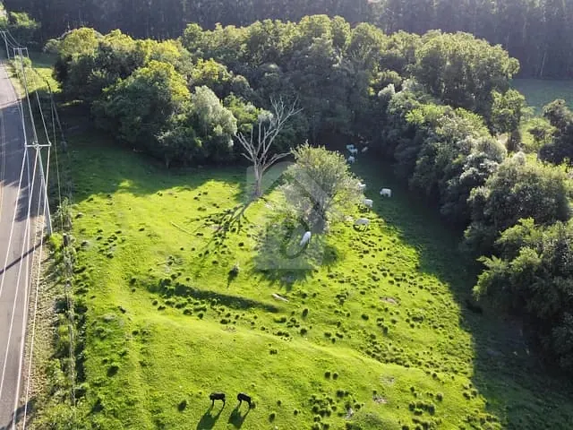 Terreno com 149000m², à venda, no bairro Boa Vista em Teutônia