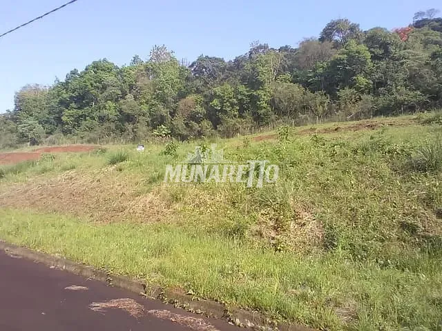 Terreno com 600m², à venda, no bairro Santa Cruz em Concórdia
