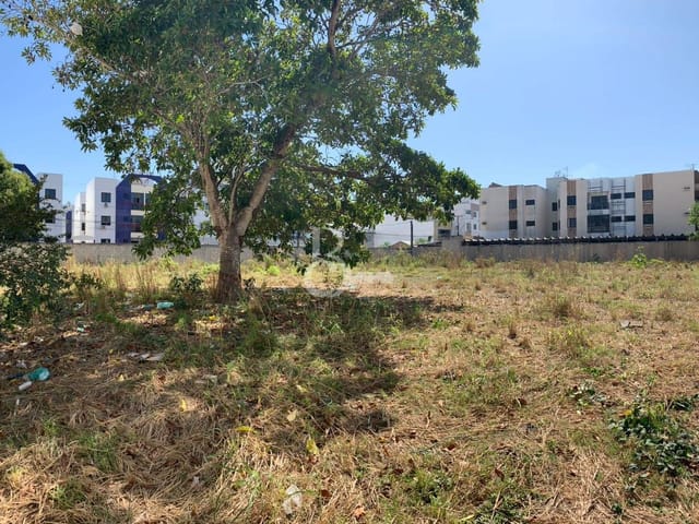 Terreno com 1642m², à venda, no bairro Parque Turf Club em Campos dos Goytacazes