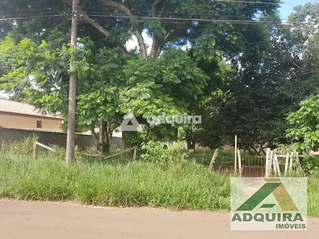 Terreno com 462m², à venda, no bairro Uvaranas em Ponta Grossa