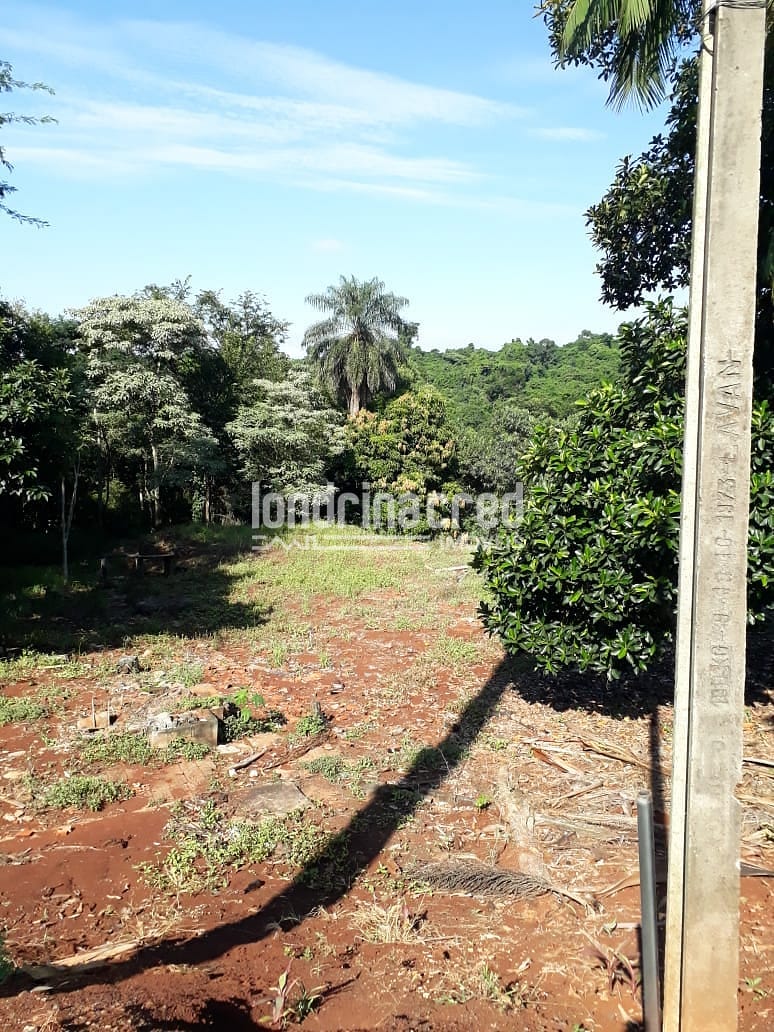 Terreno, 5000 m² - Foto 3