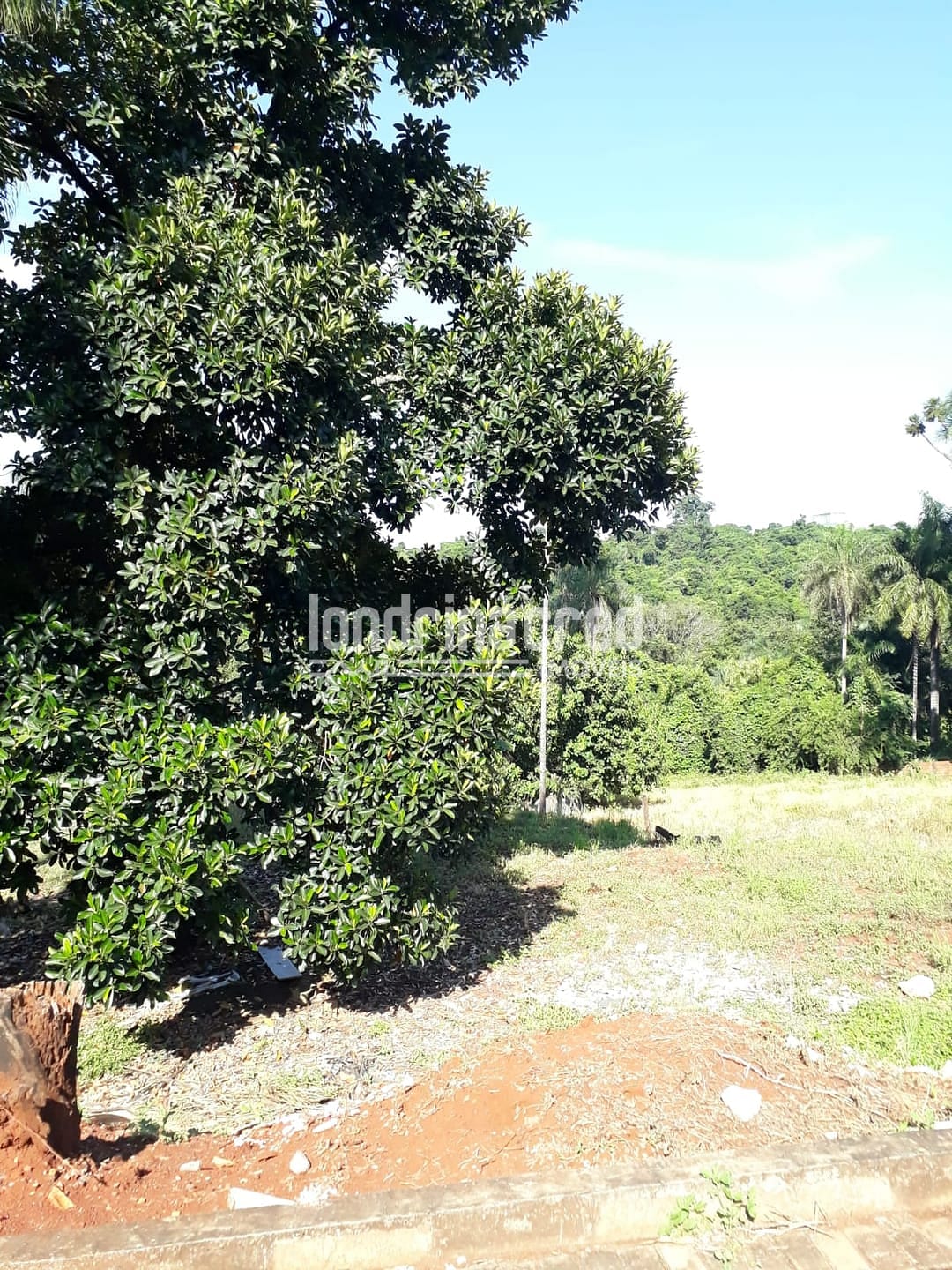 Terreno, 5000 m² - Foto 1