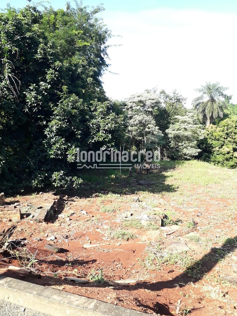 Terreno, 5000 m² - Foto 2