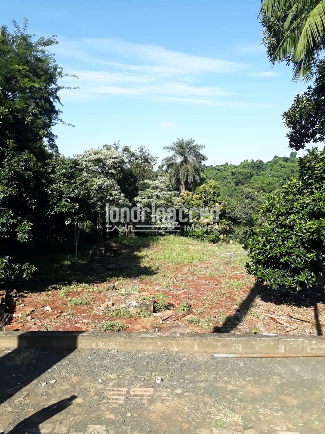 Terreno, 5000 m² - Foto 4