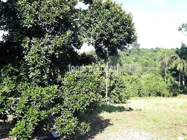 Terreno com 5000m², à venda, no bairro Parque Jamaica em Londrina
